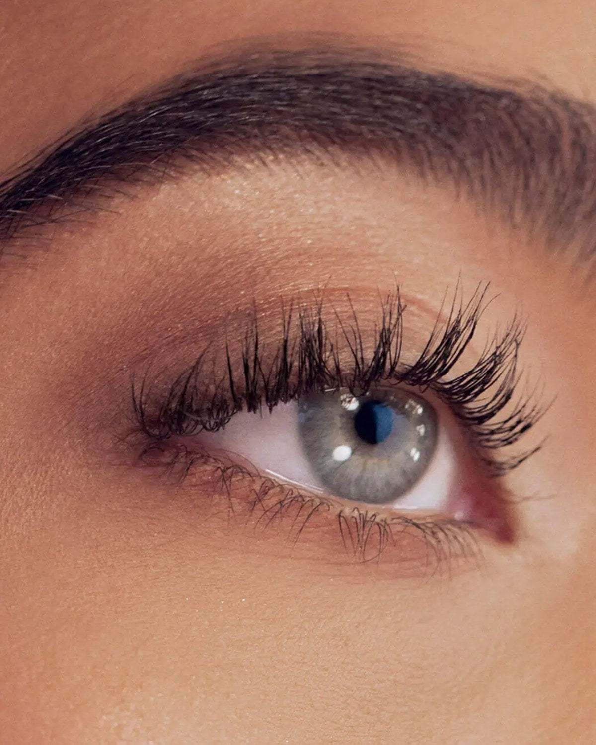 Close-up of a blue-grey eye with long, fluttery lashes and a full, beautifully shaped brow after a lash and brow treatment