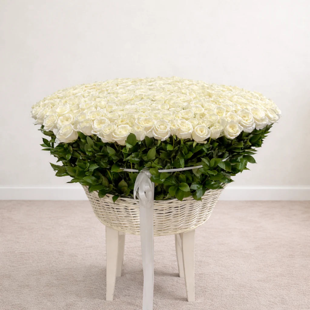 Grand Luxury Basket of 500 White Roses