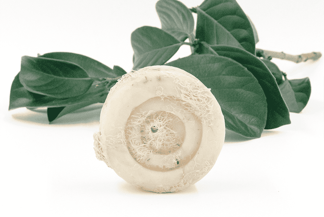 Khan Al Saboun green tea loofah soap 70g exfoliating natural soap with built in loofah
