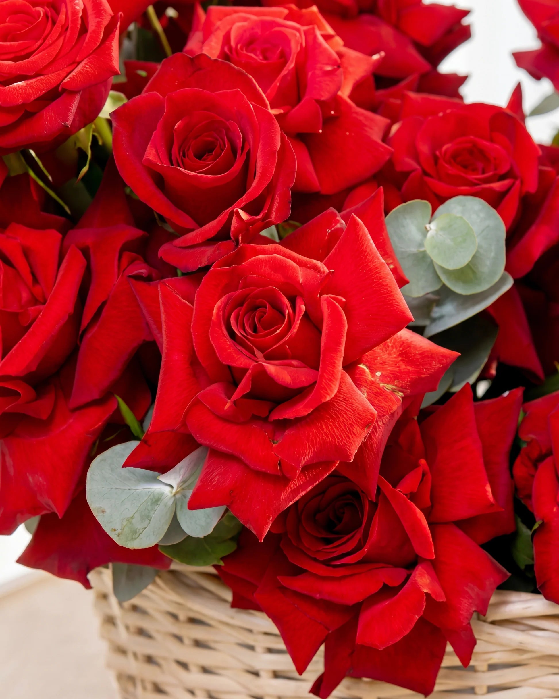 High on roses