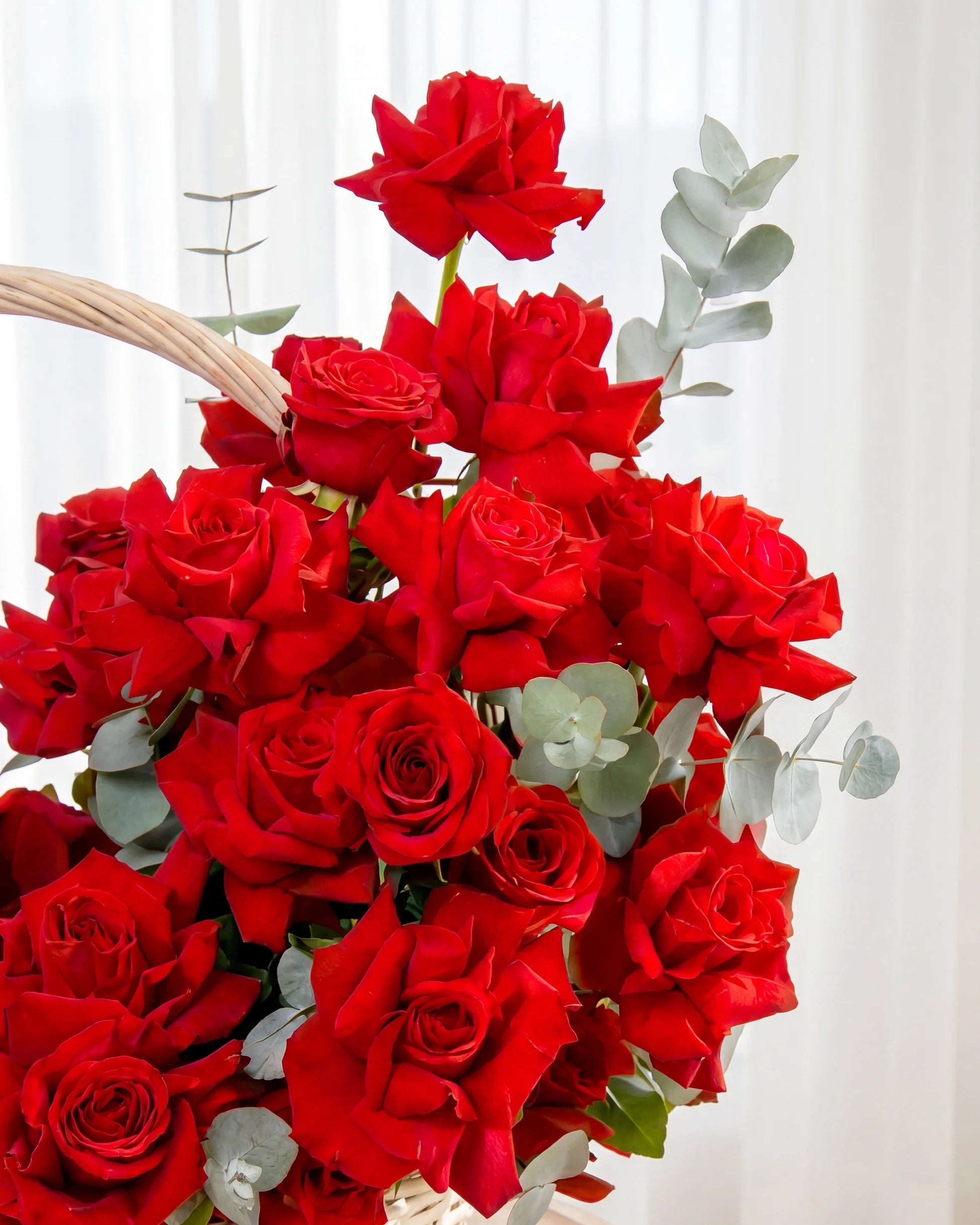 High on roses