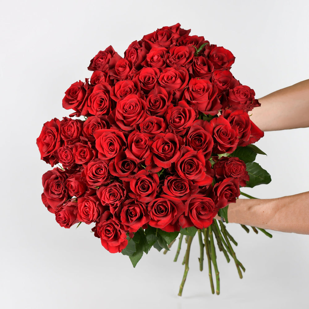 Fifty Red Roses – Dressed in Love | Lebanon | Idole Lebanon LLC